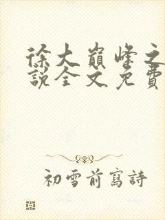 徐大巅峰之路小说全文免费阅读