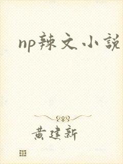 np辣文小说封面