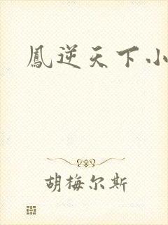 凤逆天下小说