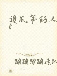 追风筝的人txt封面