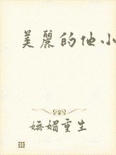 美丽的他小说封面