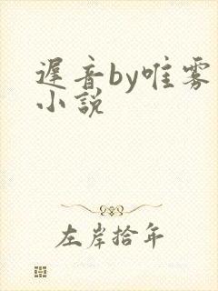 迟音by唯雾的小说封面