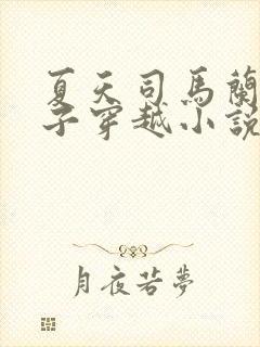 夏天司马兰九皇子穿越小说笔趣阁封面