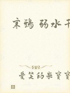 寒鸦 弱水千流封面