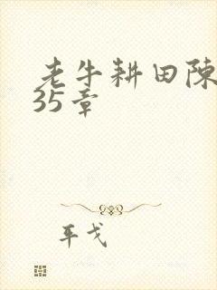 老牛耕田陈雪435章