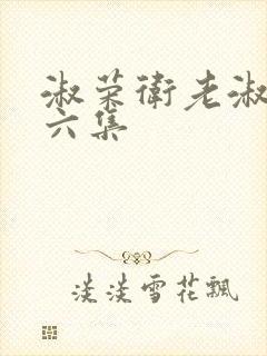 淑荣卫老淑荣第六集封面