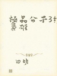 极品公子3续世枭雄