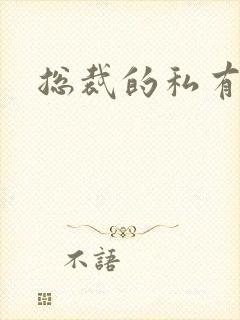 总裁的私有宝贝