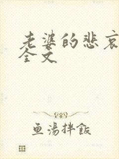 老婆的悲哀小说全文