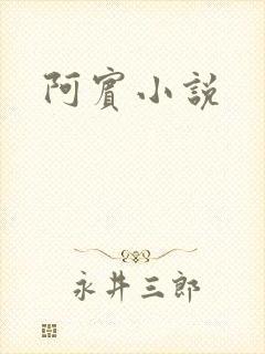 阿宾小说