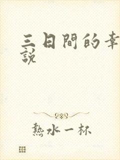 三日间的幸福小说