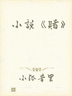 小说《赌》封面