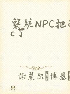 系统NPC把我c了