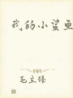 我的小鲨鱼