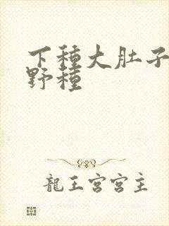 下种大肚子怀孕野种