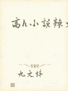 高h小说辣文