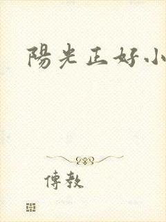 阳光正好小说封面