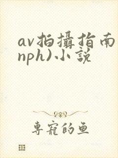 av拍摄指南(nph)小说