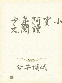 少年阿宾小说全文阅读