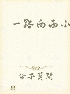一路向西小说