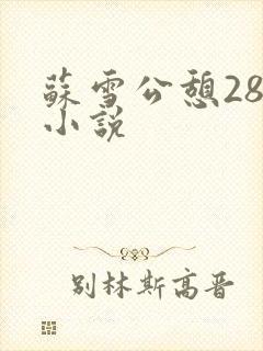 苏雪公憩28篇小说封面