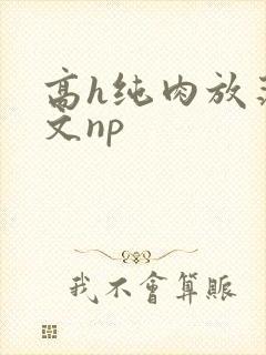高h纯肉放荡h文np