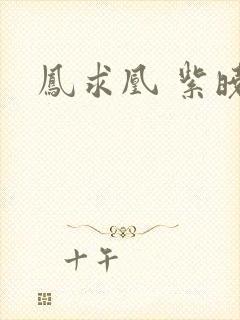 凤求凰 紫晓封面