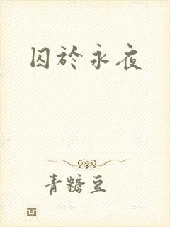 囚于永夜封面