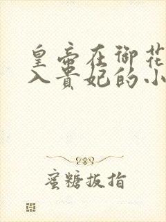 皇帝在御花园进入贵妃的小说