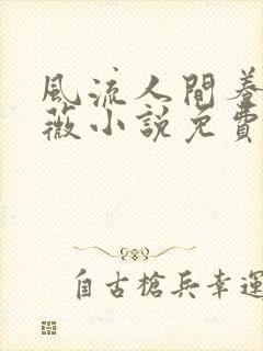 风流人间养父采薇小说免费笔趣阁封面