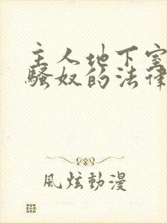 主人地下室惩罚骚奴的法律后果