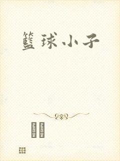 篮球小子