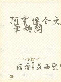阿宾传全文阅读 笔趣阁