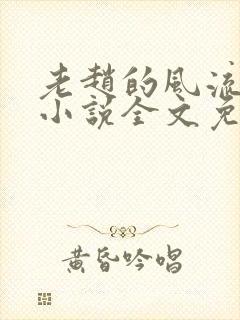 老赵的风流人生小说全文免费阅读封面