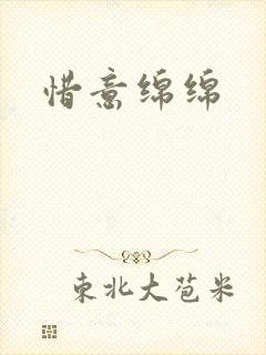 惜意绵绵封面
