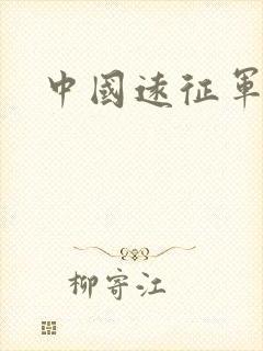 中国远征军小说