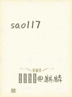 sao117封面