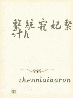 系统宠妃紧致多汁h