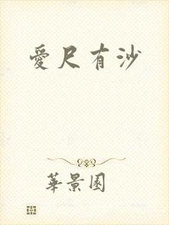 爱尺有沙封面