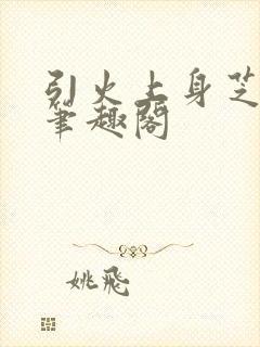 引火上身芝麻糖笔趣阁封面