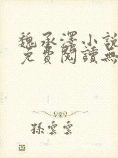 魏承泽小说全文免费阅读无弹窗笔趣