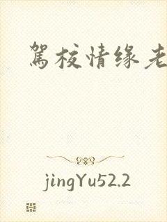 驾校情缘老赵封面