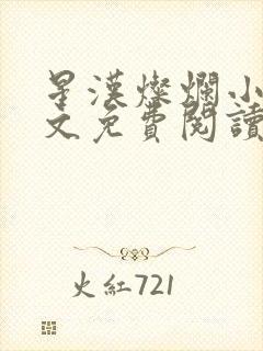 星汉灿烂小说全文免费阅读封面