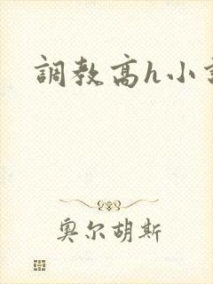 调教高h小说封面