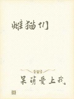 雌猫们