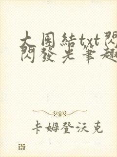 大团结txt闪闪发光笔趣阁封面