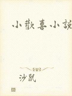 小欢喜小说