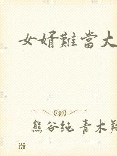 女婿难当大结局