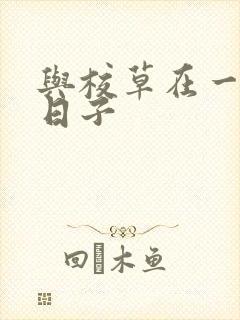 与校草在一起的日子封面