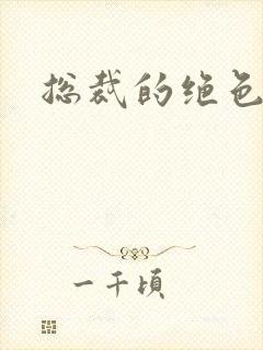 总裁的绝色宠妻